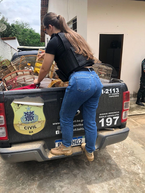 Aves silvestres foram resgatadas na Bahia por Divulgação/PCBA