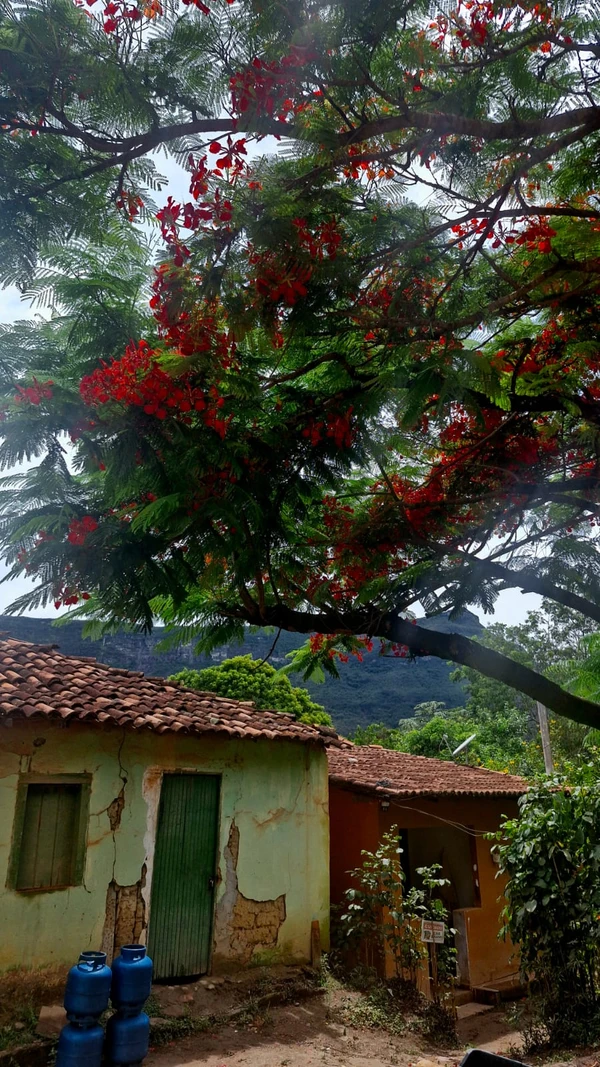 Belezas do Capão por Perla Ribeiro/CORREIO