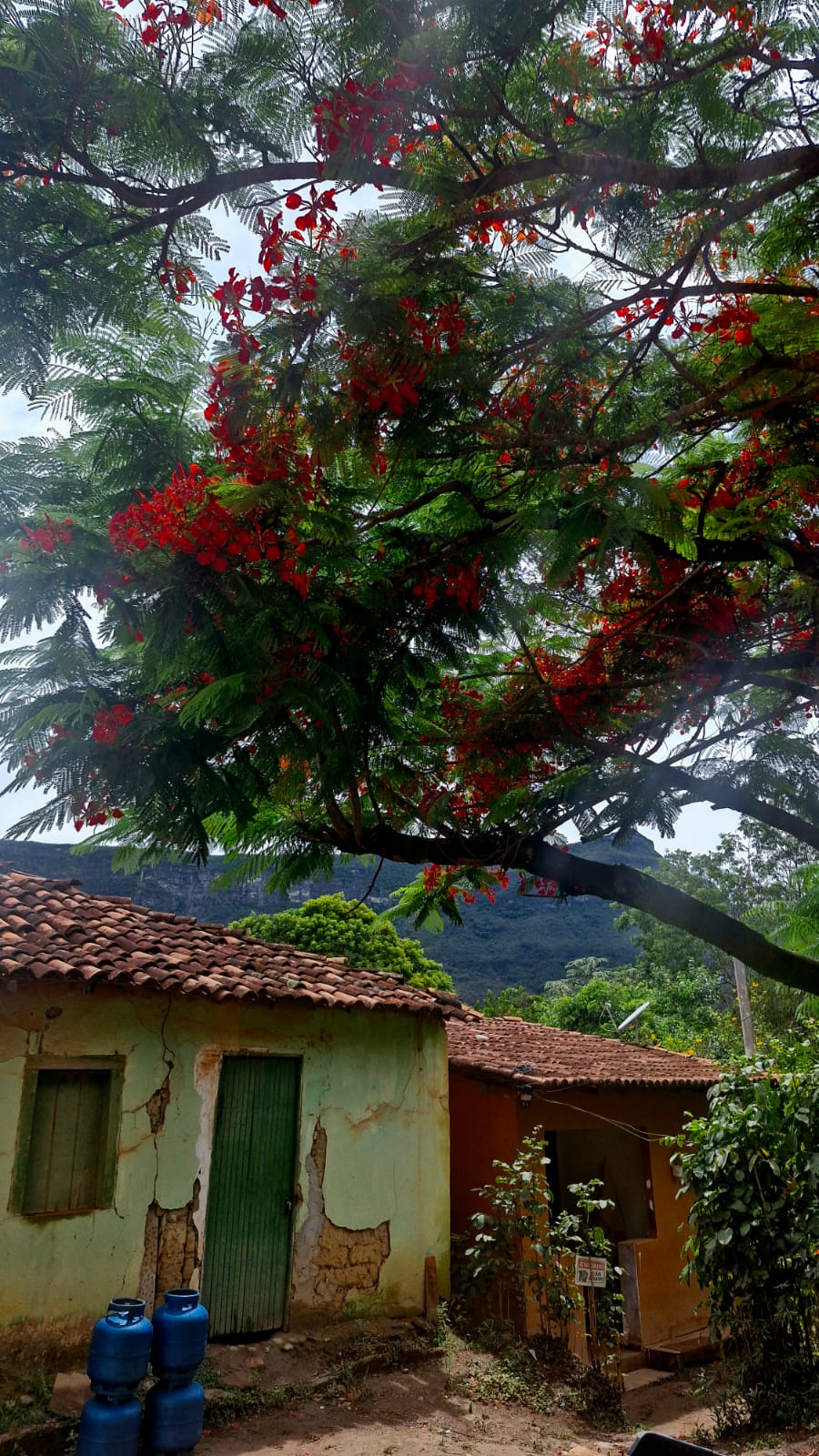 Belezas do Capão por Perla Ribeiro/CORREIO