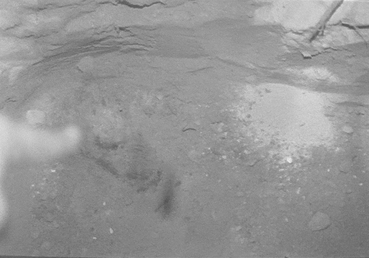 Buscas localizaram o corpo do do aposentado da Petrobras Raimundo Nonato de Alcântara, 73 anos por Almiro Lopes/Arquivo CORREIO