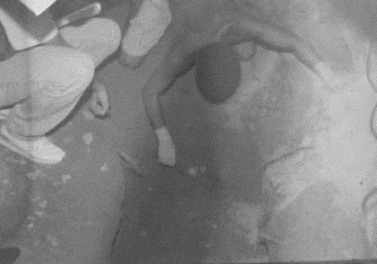 Buscas localizaram o corpo do do aposentado da Petrobras Raimundo Nonato de Alcântara, 73 anos por Almiro Lopes/Arquivo CORREIO