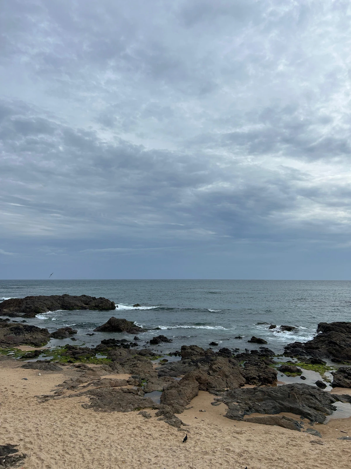 Alberto Magno de Freitas  se diverte com os achados no mar do Rio Vermelho por Gabriel Coimbra/Divulgação