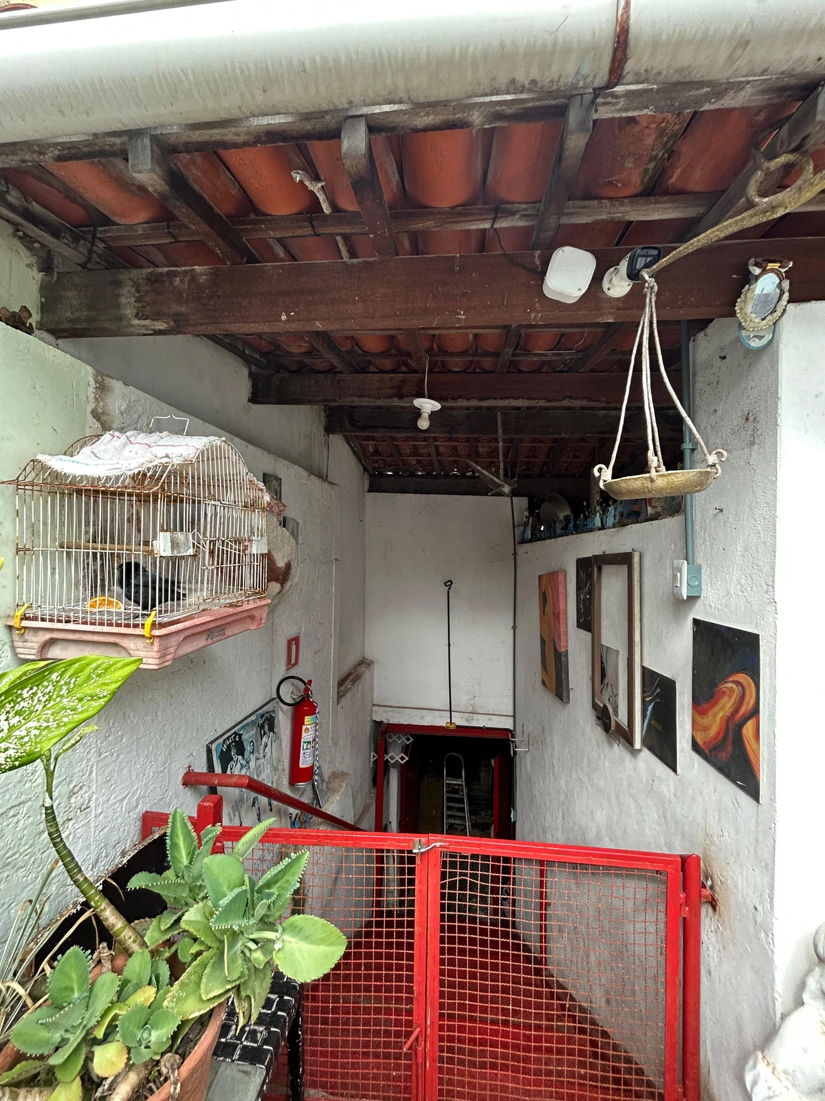 Alberto Magno de Freitas  se diverte com os achados no mar do Rio Vermelho por Gabriel Coimbra/Divulgação