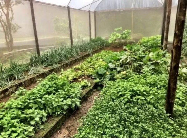 Casa de Marcello Novaes, o Jaques de Dona de Mim por Reprodução / Redes Sociais