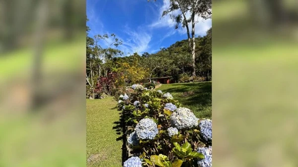 Casa de Marcello Novaes, o Jaques de Dona de Mim por Reprodução / Redes Sociais