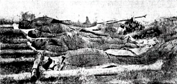 Corpos dos soldados mortos em Queimadas por Divulgação