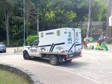 Imagem - Homem invade jaula e é morto por leoa em zoológico