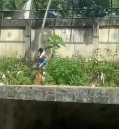 Homem entra em jaula até que é puxado pelo animal por Reprodução