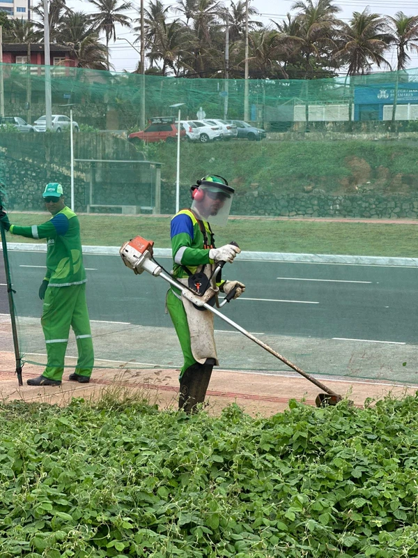 Colaboradores Sotero por Divulgação