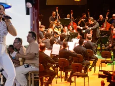 Imagem - Com Ivete Sangalo, Osba realiza concerto beneficente em prol do Martagão Gesteira neste mês