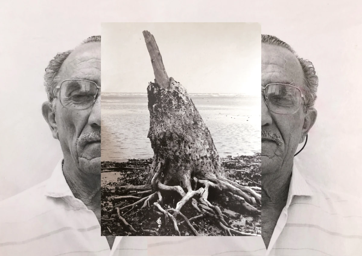 Obra de AliceKottler_ por divulgação