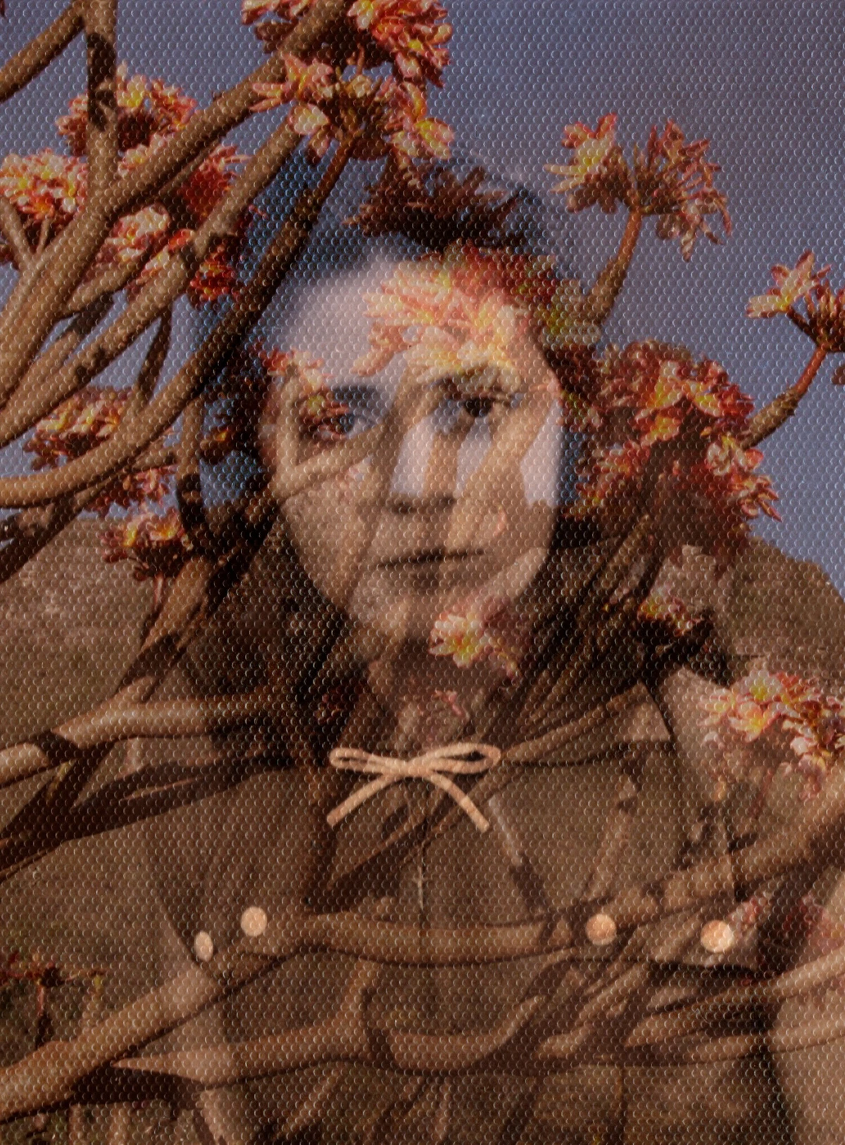 Obra de Cassandra Barteló por divulgação