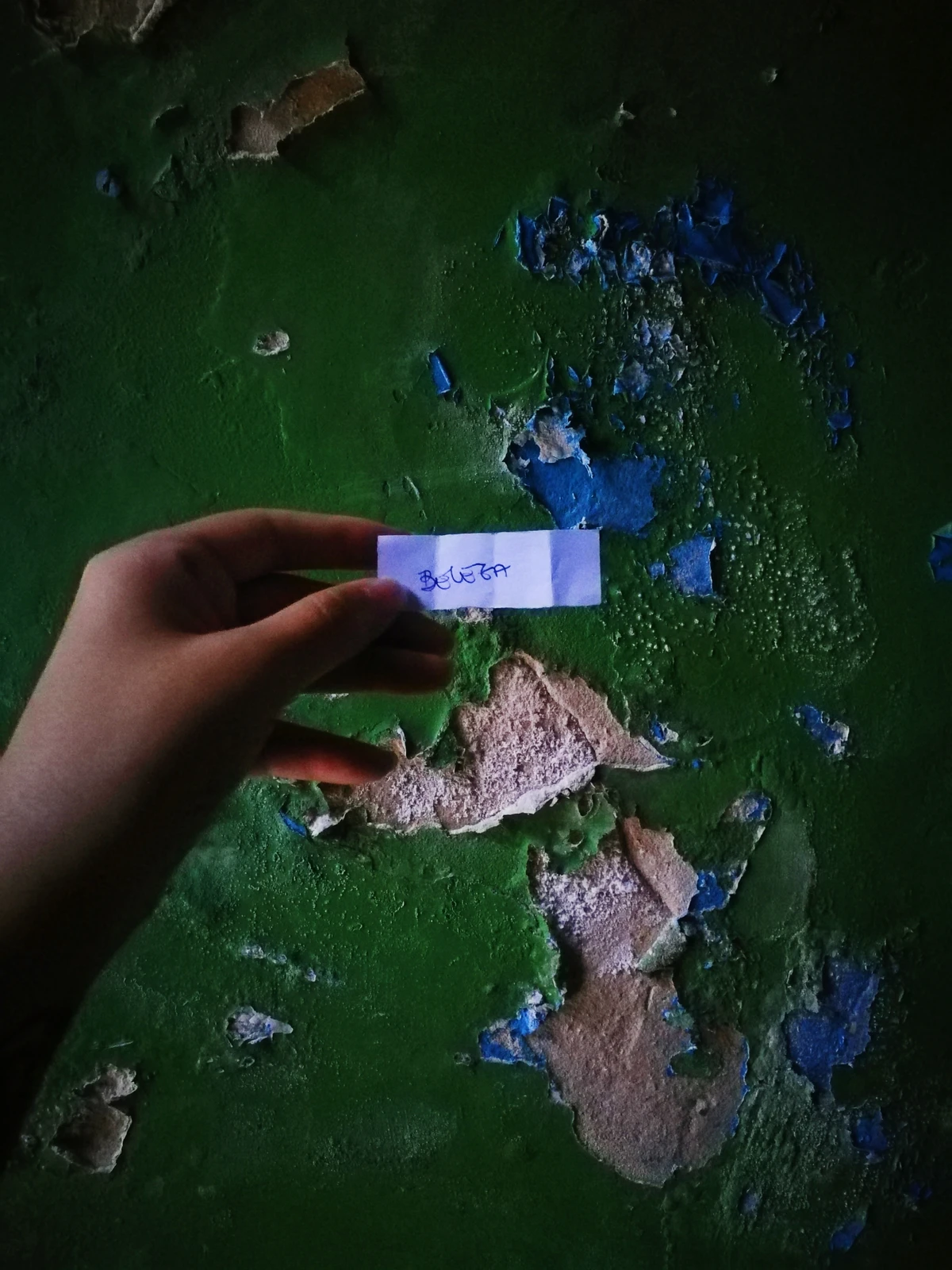 Obra de Zeza Maria por divulgação