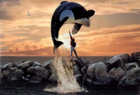 Free Willy (1993) - HBO Max, Prime Video, Youtbe, Google Play, Apple TV por Reprodução