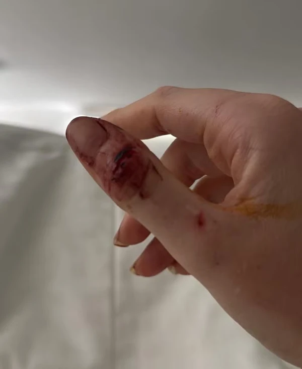 Imagens divulgadas por Marcela Tomaszewski por Reprodução/Instagram