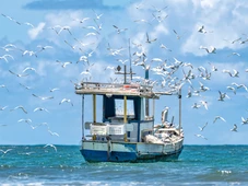 Imagem - Praia do Forte é tema de livro de fotógrafo premiado