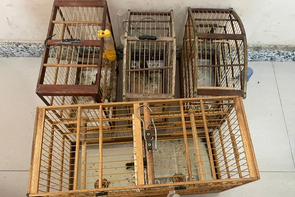 Ação policial terminou com aves resgatadas e apreensão de drogas