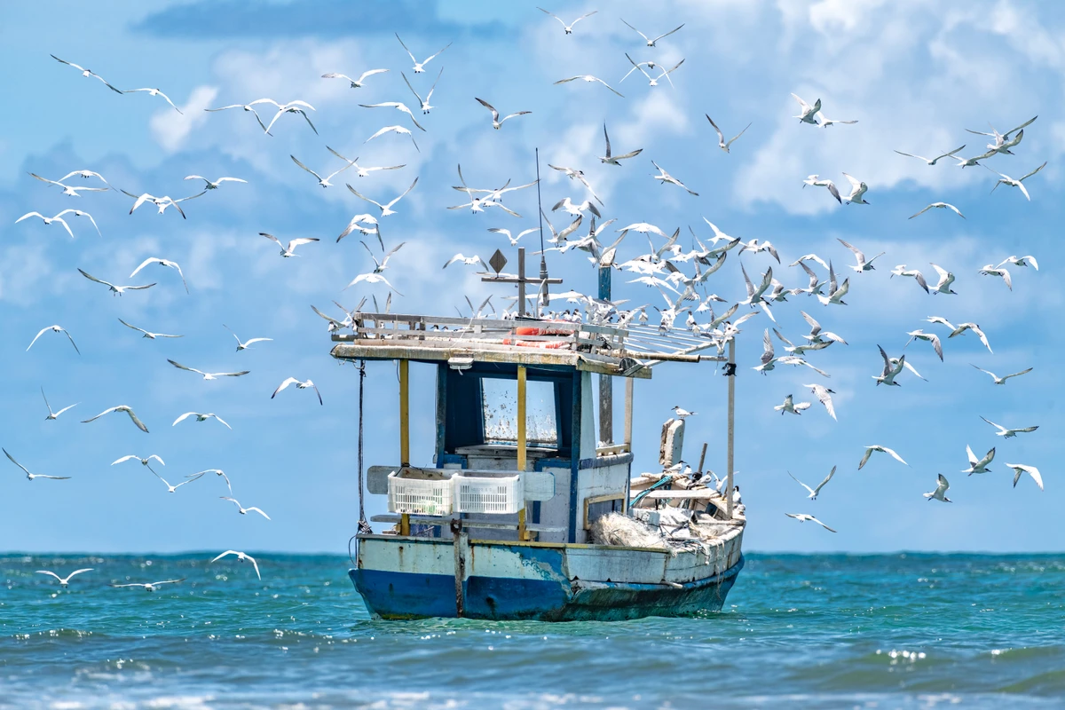 Foto do livro O fotógrafo Eduardo Moody