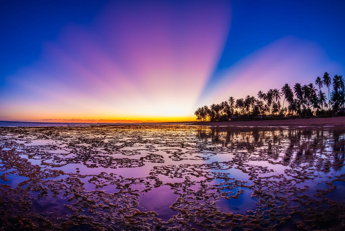 Foto do livro O fotógrafo Eduardo Moody por Eduado Moody