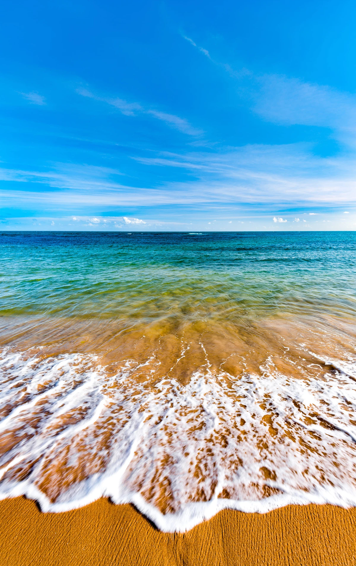 Foto do livro O fotógrafo Eduardo Moody por Eduado Moody