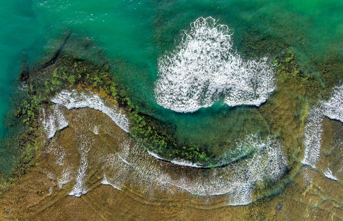 Eduado Moody por Eduardo Moody