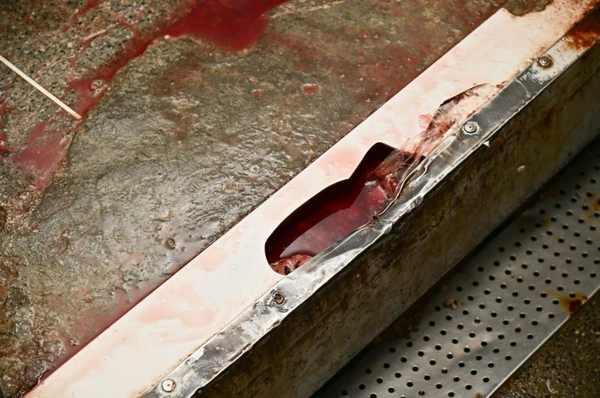 Parte da estrutura do açougue foi interditada por Divulgação/ Visa