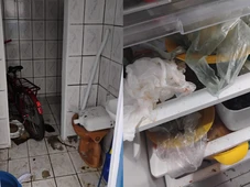 Imagem - Dona de abrigo irregular mantém idosos em local insalubre e confisca aposentadorias