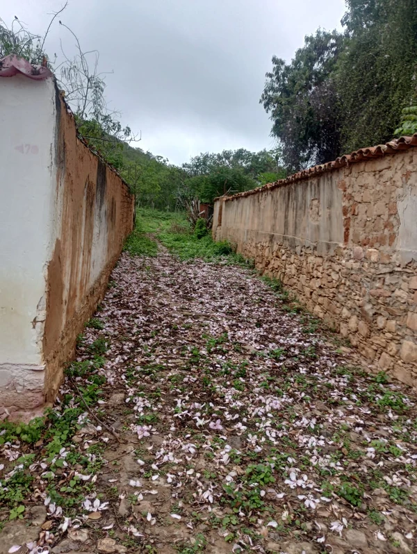 A Vila do Ventura conserva ainda em seus arredores um sítio arqueológico de mais de 3.000 anos por Marcos Gonçalves - Acervo Pessoal