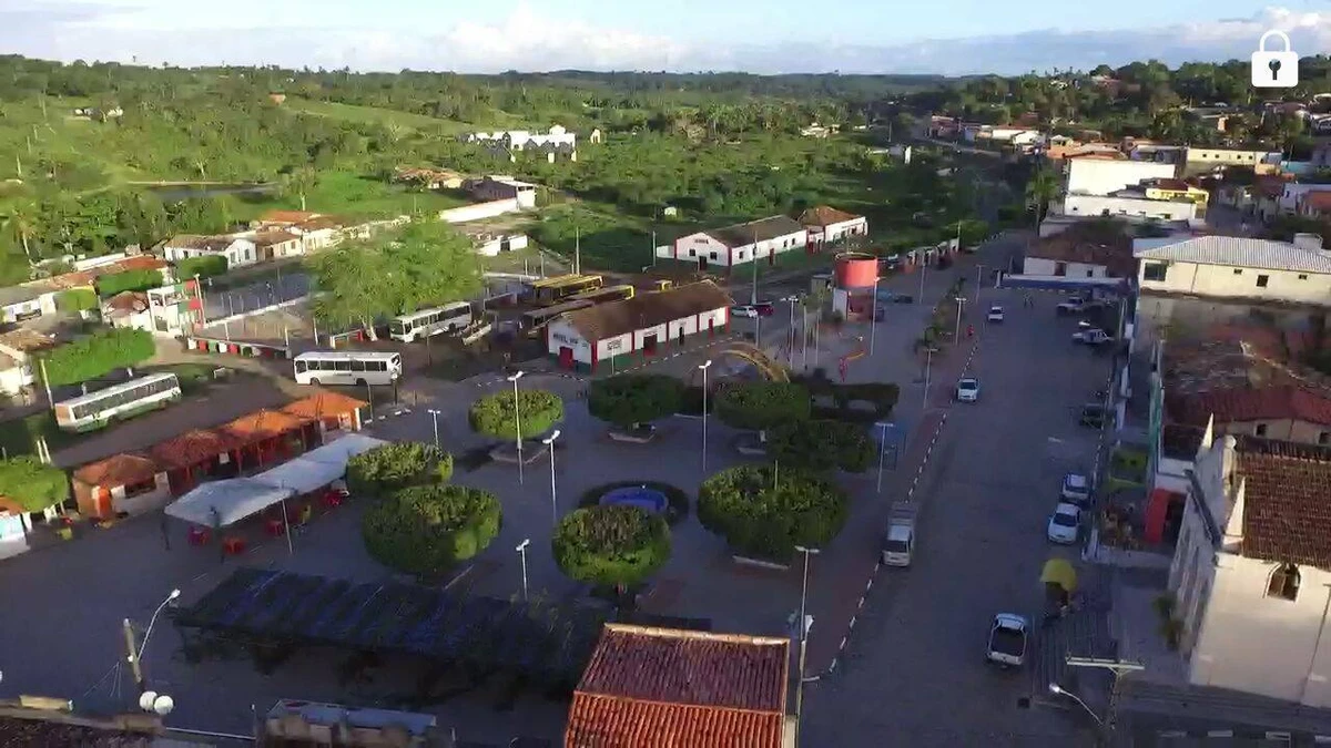 Aramari, na Bahia por Reprodução