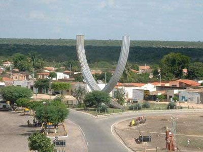 Capim Grosso por Reprodução