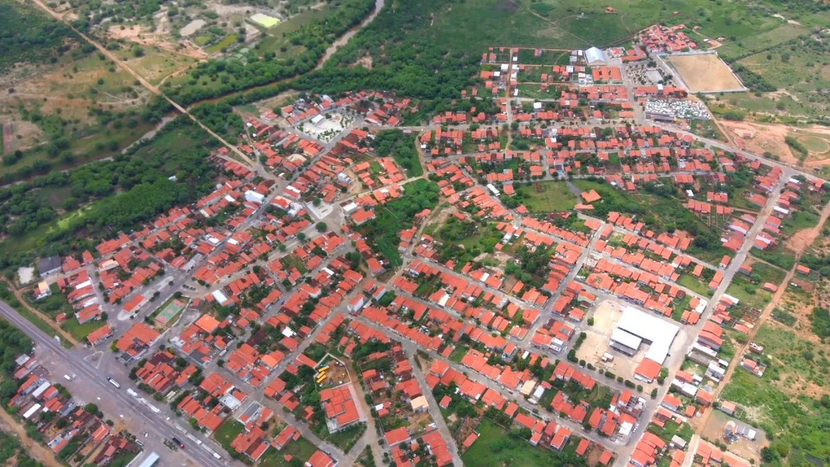 Gavião. na Bahia por Reprodução