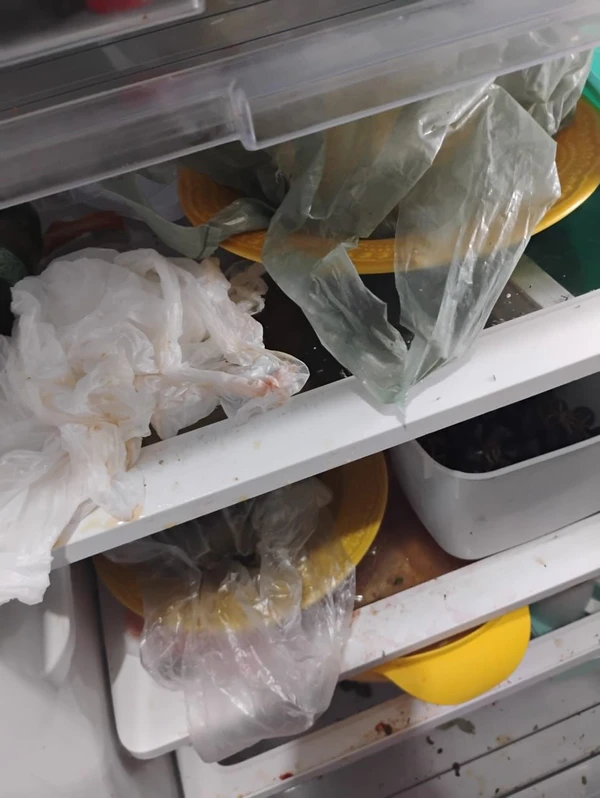 Responsável pelo abrigo de idosos irregular foi presa  por Divulgação