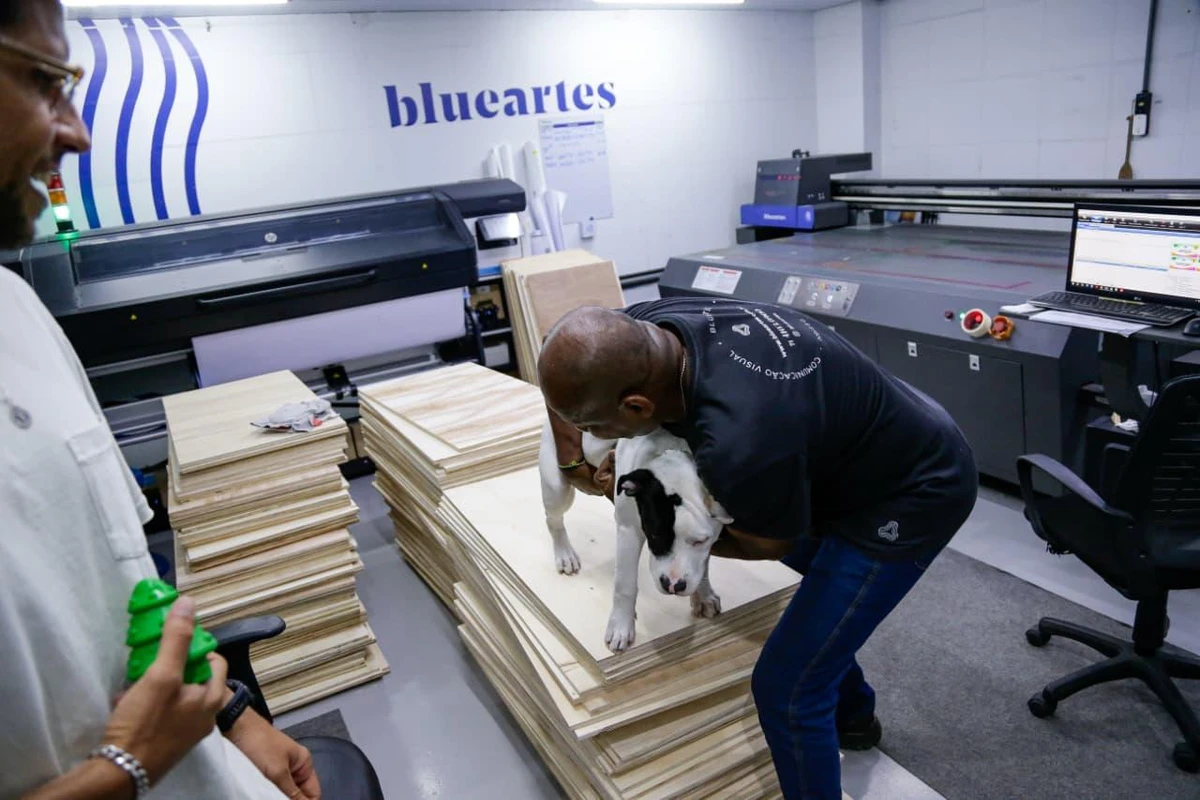 Conheça Blue, o cachorro que virou ‘funcionário’ e conquistou uma empresa em Salvador por Arisson Marinho/CORREIO