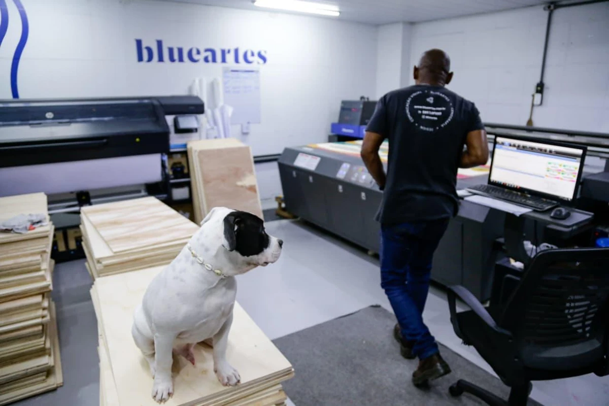 Conheça Blue, o cachorro que virou ‘funcionário’ e conquistou uma empresa em Salvador por Arisson Marinho/CORREIO