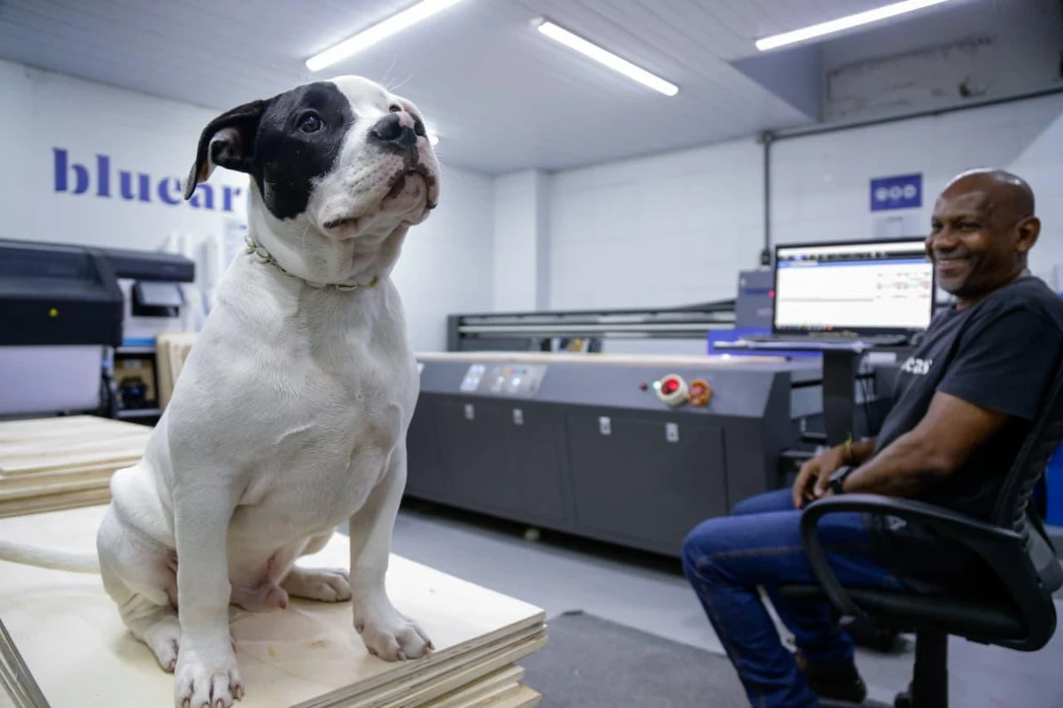 Conheça Blue, o cachorro que virou ‘funcionário’ e conquistou uma empresa em Salvador por Arisson Marinho/CORREIO