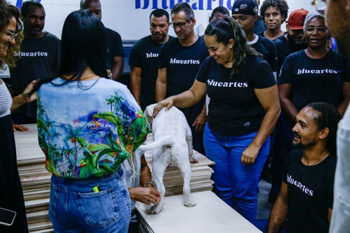 Conheça Blue, o cachorro que virou ‘funcionário’ e conquistou uma empresa em Salvador por Divulgação
