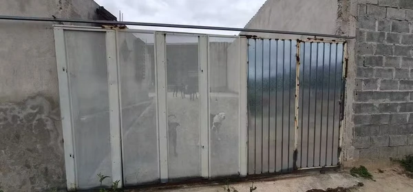 Ataque aconteceu dentro de uma residência em São José dos Campos por Reprodução