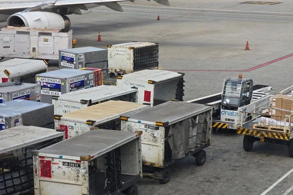 Itens podem ser resgatados em Guarulhos por Reprodução