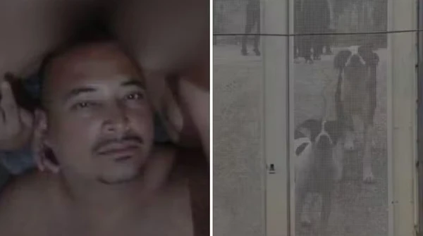 Júlio César de Souza Oliveira foi mordido por dez cachorros