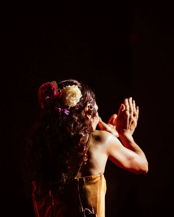 Marisa Monte na turnê 'Phônica' por Divulgação/Redes sociais