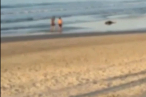 Militar perseguiu e matou assaltante com ao menos oito tiros por Reprodução