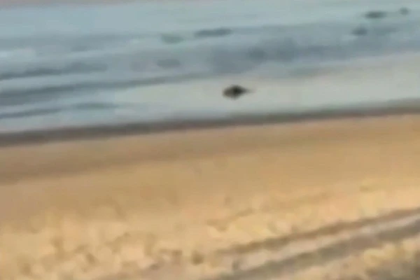 Militar perseguiu e matou assaltante com ao menos oito tiros por Reprodução