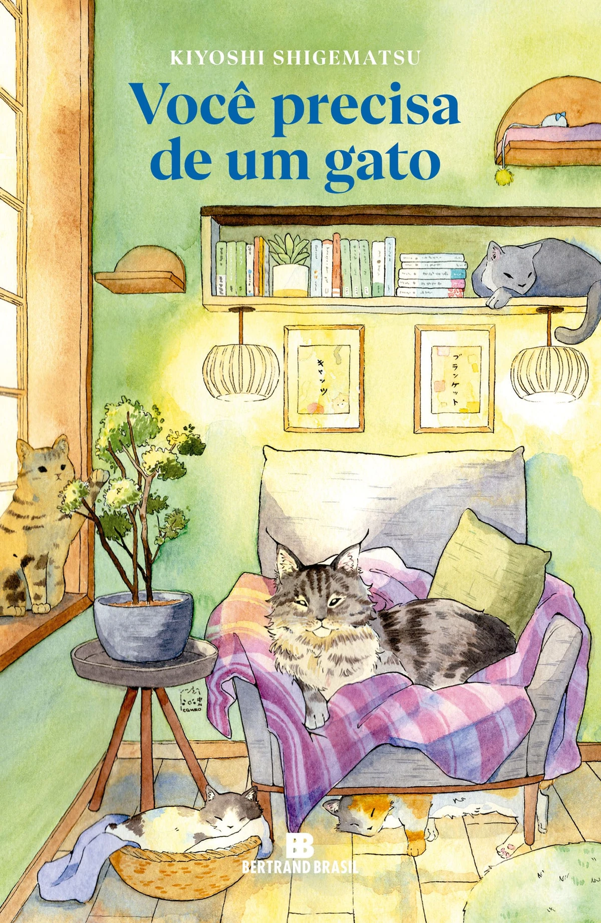 Você precisa de um gato, de Kiyoshi Shigematsu (Bertrand Brasil): Em Tóquio, um pet shop peculiar oferece aos clientes a oportunidade de levar para casa um de seus gatos. As condições: o felino deve ser devolvido em três dias, só pode comer o alimento fornecido pela loja e deve estar sempre acompanhado de sua familiar manta de estimação. por Divulgação