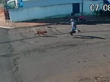 Imagem - Idoso morre após ser 'atropelado' por cachorro ao atravessar a rua