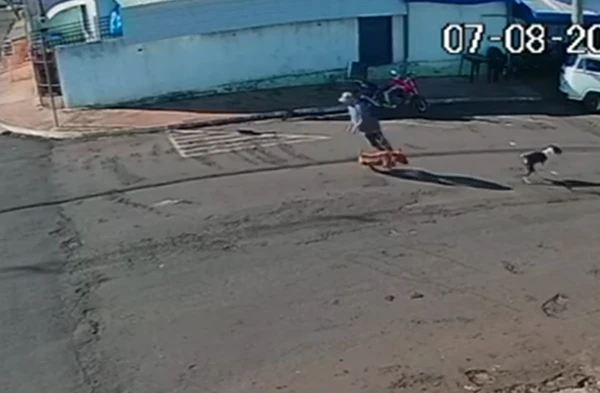 Idoso é 'atropelado' por cachorro ao atravessar a rua por Reprodução