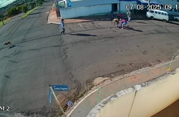 Idoso é 'atropelado' por cachorro ao atravessar a rua por Reprodução