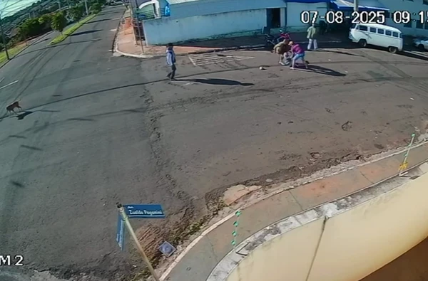 Idoso é 'atropelado' por cachorro ao atravessar a rua por Reprodução