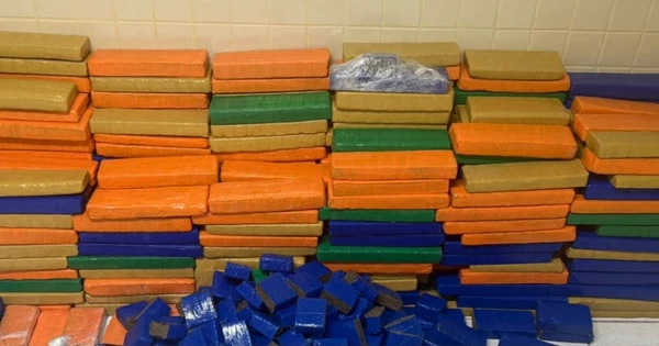 Quase uma tonelada de maconha foi encontrada em Simões Filho