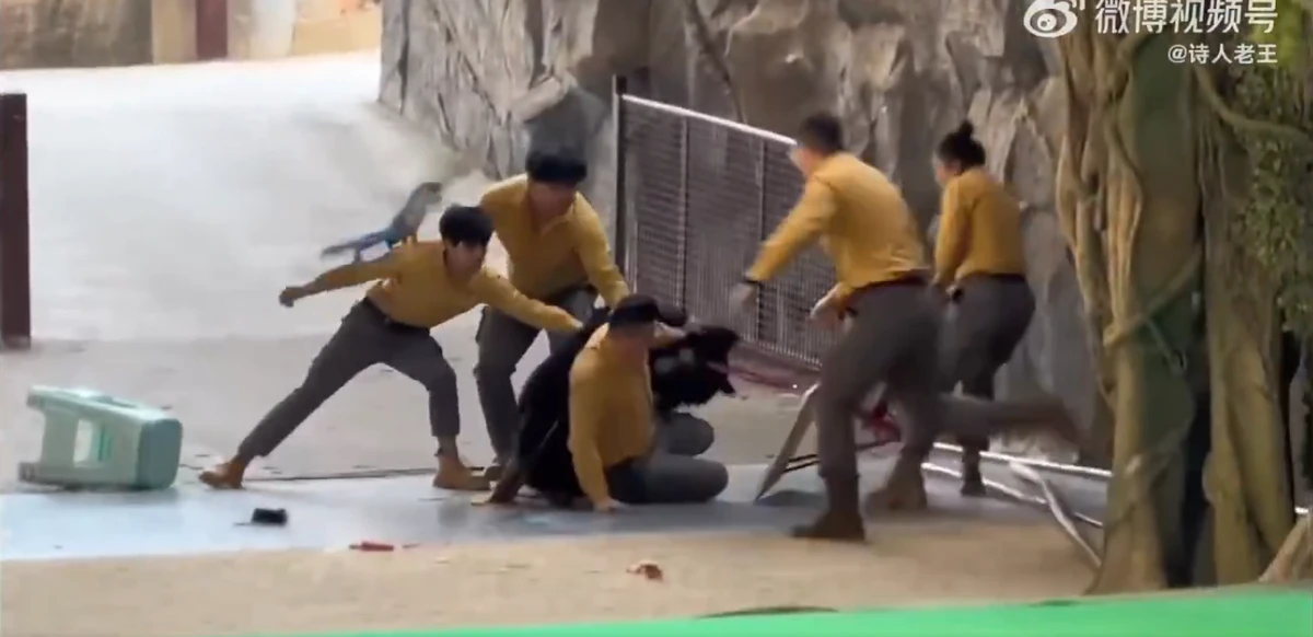 Urso atava tratador em zoológico por Reprodução