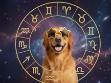 Imagem - 3 signos estão no lugar certo, na hora certa, nesta quarta-feira (10 de dezembro)